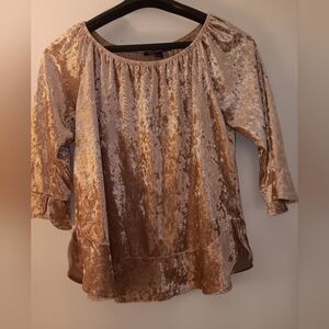 ⭐️Blush Crushed Velvet Shirt